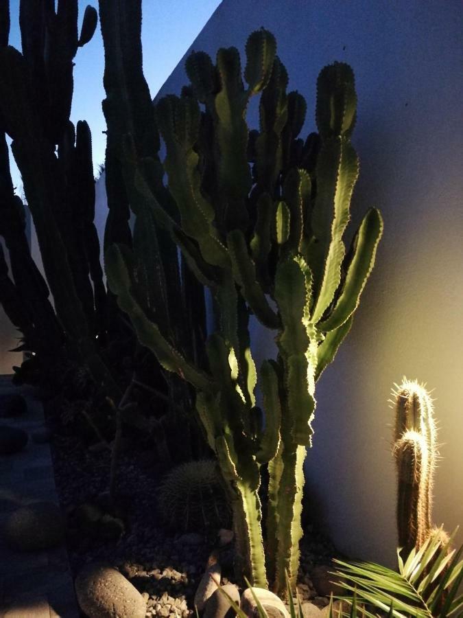 Willa Casa Euphorbia Las Negras Zewnętrze zdjęcie